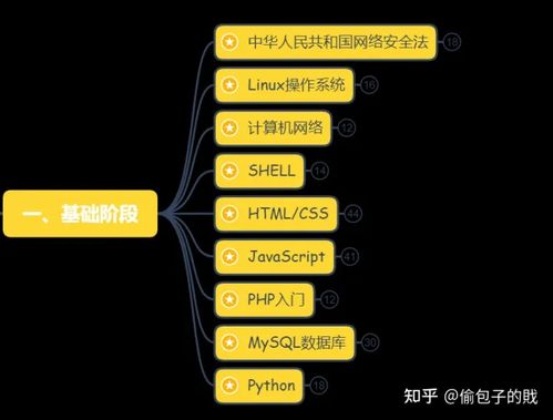 这才是CSDN最系统的网络安全学习路线 建议收藏 网络与信息安全软件开发