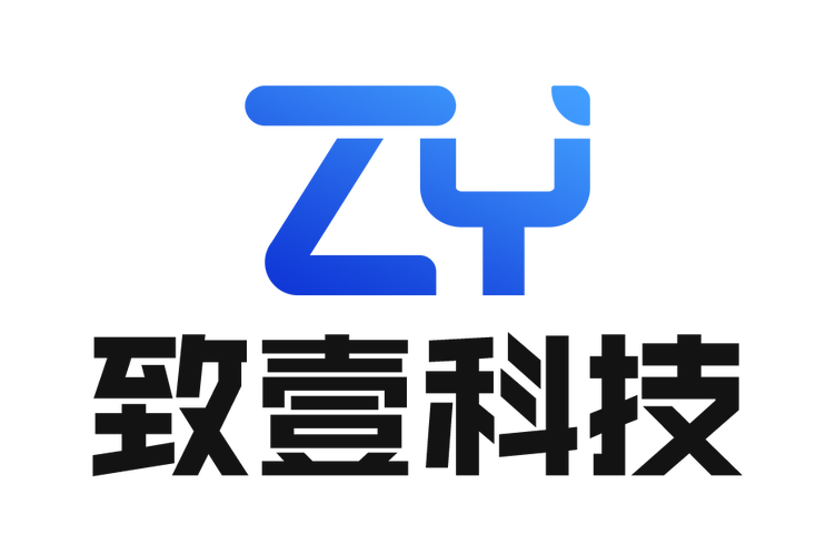 一般项目中的信息技术咨询服务与软件开发解析